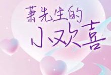 萧先生的小欢喜许菀萧靖川小说在线章节目录阅读最新章节-书格格