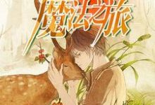 想读顾何赵夕颜的故事，哪里可以免费找到普通人的魔法之旅？-书格格