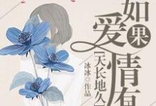 求推荐可以免费阅读如果爱情有天长地久小说的网站-书格格