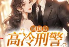 回国后,高冷刑警爱我如初小说阅读,回国后,高冷刑警爱我如初完结版-书格格
