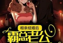 赵婉婉陆璟珵小说《相亲结婚后,霸总老公实力护妻》在线阅读-书格格