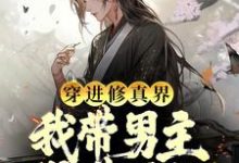 在线寻找穿进修真界:我带男主得道升仙小说的无删减版本-书格格