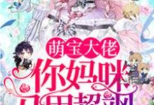 梁浅秦九墨梁乐小说叫什么(萌宝大佬,你妈咪马甲超飒免费阅读)-书格格