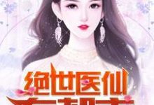 完结版《绝世医仙在都市》章节阅读-书格格
