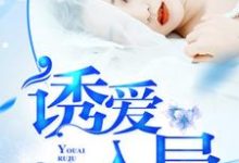 主角江澜灯楚驿北苏澈小说诱爱入局免费阅读-书格格