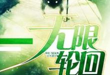 求无限轮回小说的全文免费阅读链接-书格格