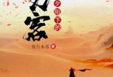 夕阳下的刀客小说完结版章节免费阅读-书格格