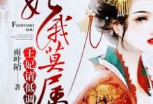 安汐司腾夜安毅的故事在哪本书里？免费阅读妃你莫属：王妃，请低调-书格格