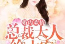 想读云初顾之深林杳杳季司澄的故事,哪里可以免费找到婚内欢情:总裁大人给力宠?-书格格
