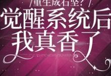 重生成石坚?觉醒系统我后真香了小说,重生成石坚?觉醒系统我后真香了在线阅读-书格格