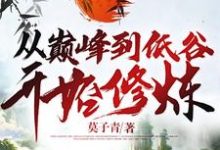免费看从巅峰到低谷开始修炼小说的网站有哪些?-书格格