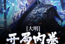朱棡是哪本书的主角？大明：开局内卷，我渔翁得利免费读-书格格