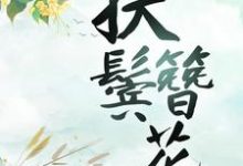 哪里可以免费读到沈归舟陈穆愉的完整故事?寻找扶鬓簪花-书格格