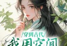 求穿到古代，我用空间带飞全家小说免费资源-书格格