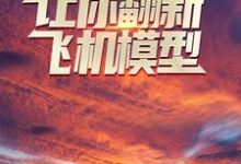 让你翻新飞机模型,你却打造幽灵战机?小说,让你翻新飞机模型,你却打造幽灵战机?在线阅读-书格格