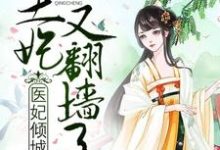 完结版《医妃倾城:王妃又翻墙了》免费阅读-书格格