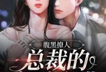 已完结小说《腹黑撩人:总裁的宠爱陷阱》章节在线阅读-书格格