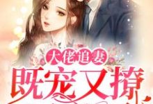 白婉婉原栎是哪本书的主角?寻找大佬追妻:既宠又撩还护短免费阅读-书格格