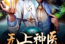 无上神医(叶漠林芊芊陈敏沐灵犀)在线免费阅读-书格格