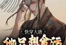 快穿大唐，他只想贪污腐败享人生李想在线章节免费阅读-书格格