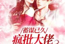 蓄谋已久,疯批大佬圈养失忆爱人杜云笙周极小说大结局免费试读-书格格