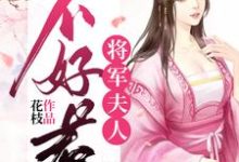 秋漫徐止然的小说在哪里看?免费在线阅读将军夫人不好惹-书格格