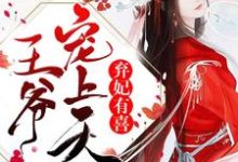 弃妃有喜:王爷,宠上天小说的无弹窗阅读体验,寻找免费阅读网站-书格格
