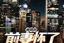 小说《离婚后,前妻怀了我的孩子》在线章节阅读-书格格