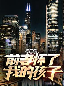 小说《离婚后，前妻怀了我的孩子》在线章节阅读