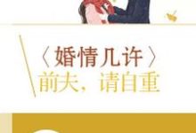 《婚情几许:前夫,请自重》全集免费在线阅读(陆瑶邵允琛)-书格格