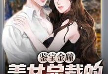 高阳温婉婷小说叫什么(鉴宝金瞳:美女总裁的贴身鉴宝师免费阅读)-书格格