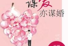 谋爱亦谋婚小说免费资源,谋爱亦谋婚在线阅读-书格格