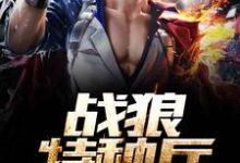 战狼特种兵小说阅读,战狼特种兵完结版-书格格