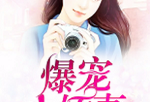 爆宠小娇妻小说阅读,爆宠小娇妻完结版-书格格