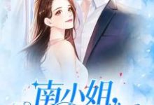 南小姐,复婚请签字主角南鱼陆少轩小说完结版章节在线阅读-书格格