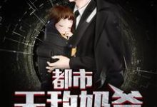 免费在线阅读都市无敌奶爸小说的正规网站有哪些?-书格格