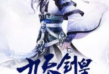 九天剑皇小说有没有完整的免费版本在线阅读?-书格格