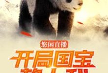 叶凉秦歌是哪本书的主角？悠闲直播：开局国宝赖上我免费读-书格格