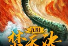 想读 萧凌北清雪的故事,哪里可以免费找到九阳焚天决?-书格格