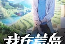 我在荒岛建家园小说有没有完结版在线?-书格格