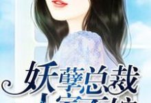 求推荐可以免费阅读妖孽总裁，人家不嫁小说的网站-书格格