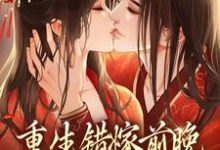 重生错嫁前晚,我找上前夫他爹小说全文阅读需要付费吗?寻找免费资源-书格格