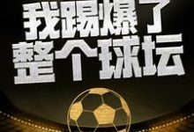 这一脚,我踢爆了整个球坛叶辰小说免费阅读-书格格