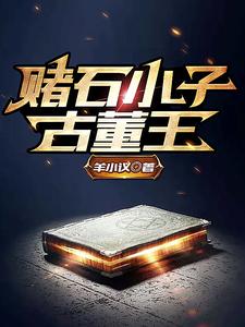 赌石小子古董王小说最新章节在哪里可以读到？
