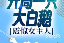 男女主人公徐桓林丽英小说进化:开局一只大白鹅,震惊女主人章节免费阅读-书格格