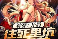 叶枫牧沐秦雪为主角的小说好看吗?求神豪:开局往死里坑白富美免费试读-书格格