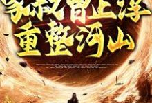已完结小说《家叔曹正淳,重整河山》章节免费阅读-书格格