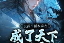 求玄武:臣本麻衣,成了天下锦绣霸主小说免费资源-书格格