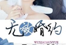 无效婚约秦烟洛宸楚炎苏落,无效婚约最新章节-书格格