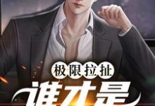 极限拉扯:谁才是爱情赢家小说的无弹窗阅读体验,寻找免费阅读网站-书格格